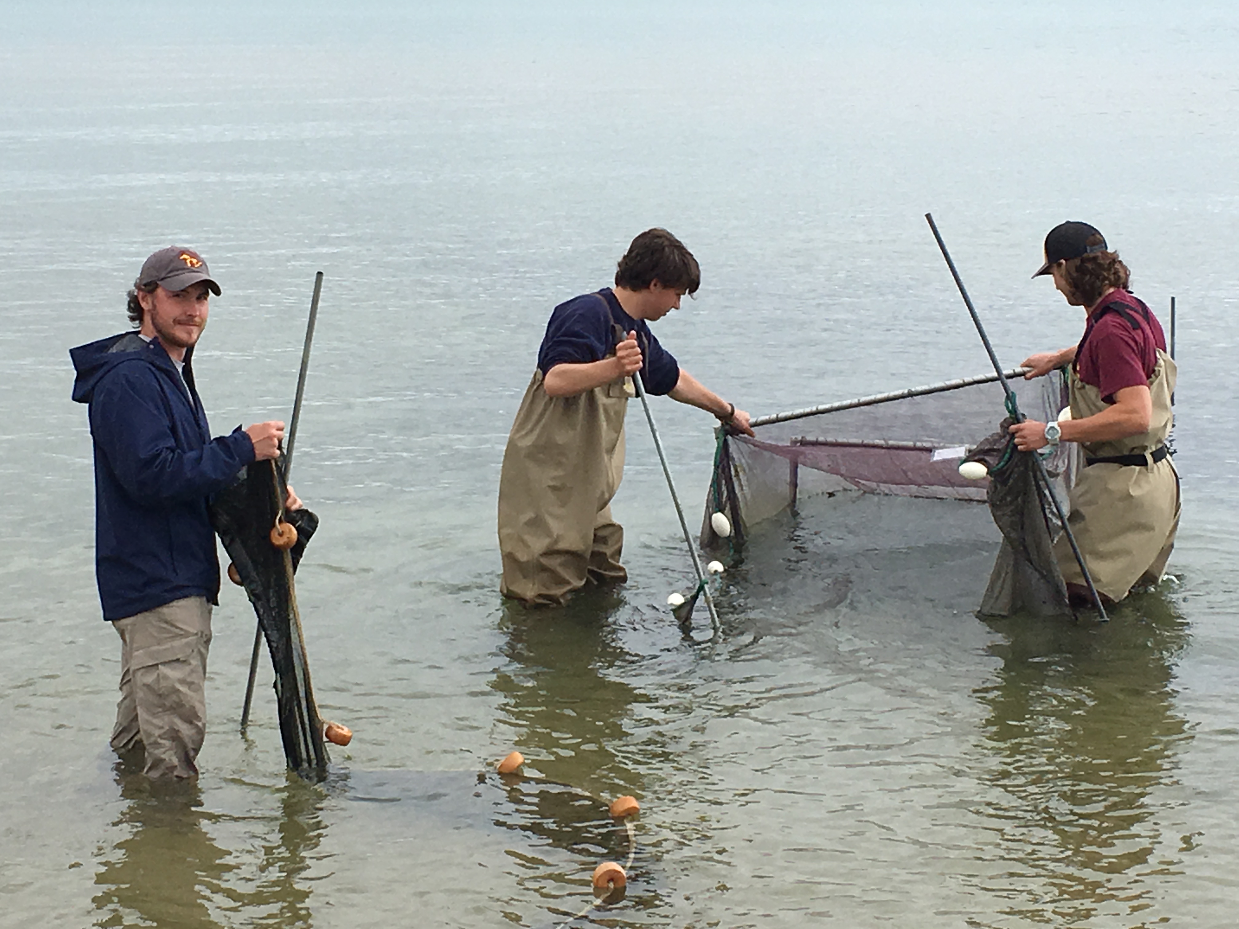 Photo courtesy of Gary Wilson