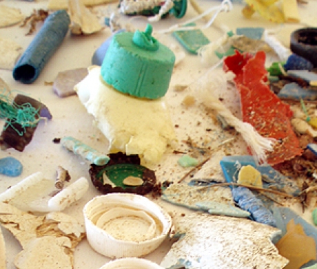 Photo courtesy of noaa.gov