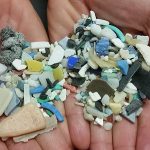 Great Lakes microplastics concentrations exceed safe levels for wildlife
