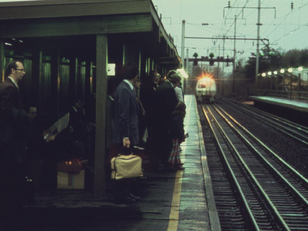 Photo courtesy of Jim Pickerell via wikimedia