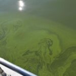 Ohio EPA calls western Lake Erie ‘impaired’