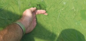 Photo courtesy of michigan.gov