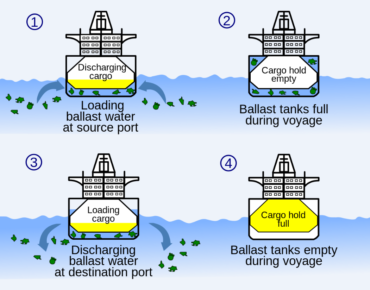 Image by MaxxL via wikimedia cc 3.0