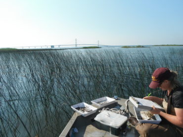 Photo by CMU Institute for Great Lakes Research