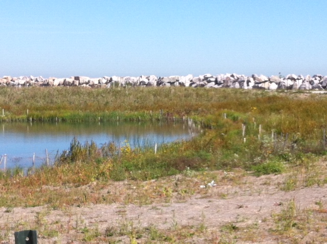 Photo courtesy of Gary Wilson