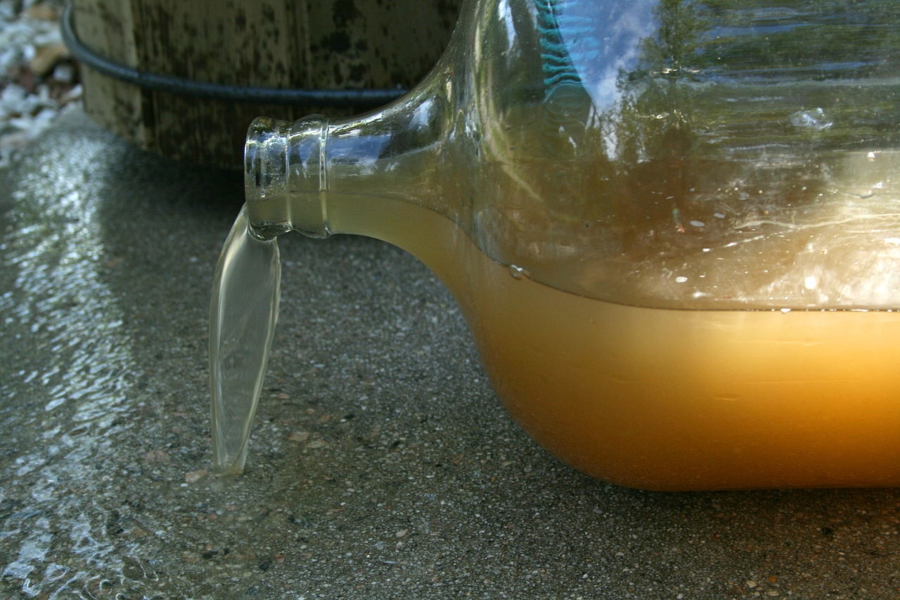 Photo by Ildar Sagdejev via wikimedia cc 4.0