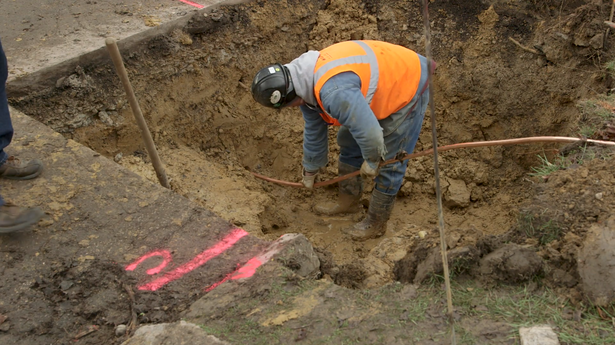 Photo courtesy of the Blue Economy