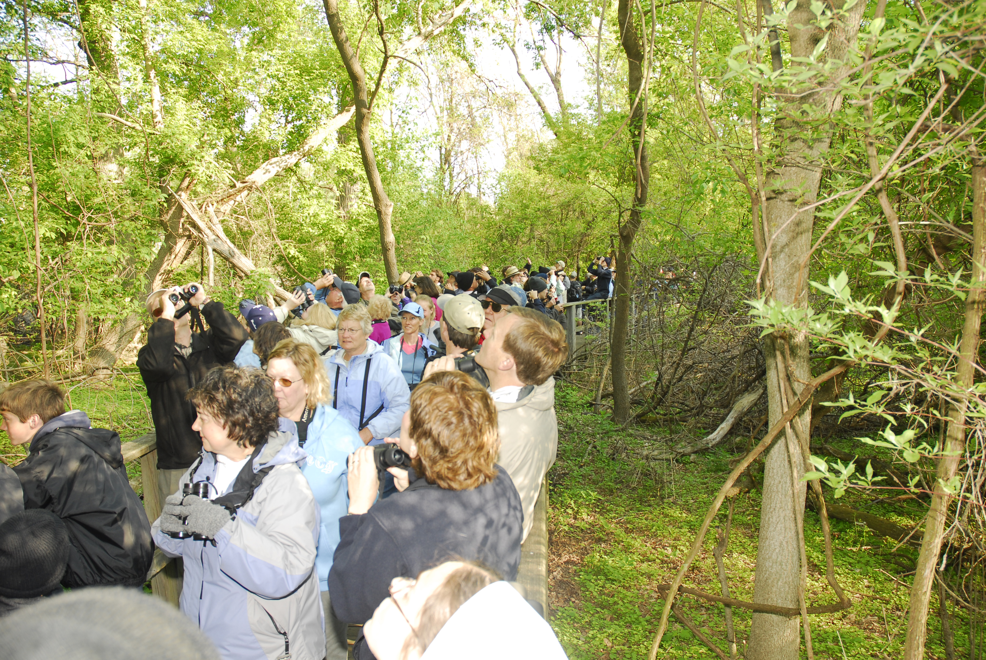 Photo by Black Swamp observatory