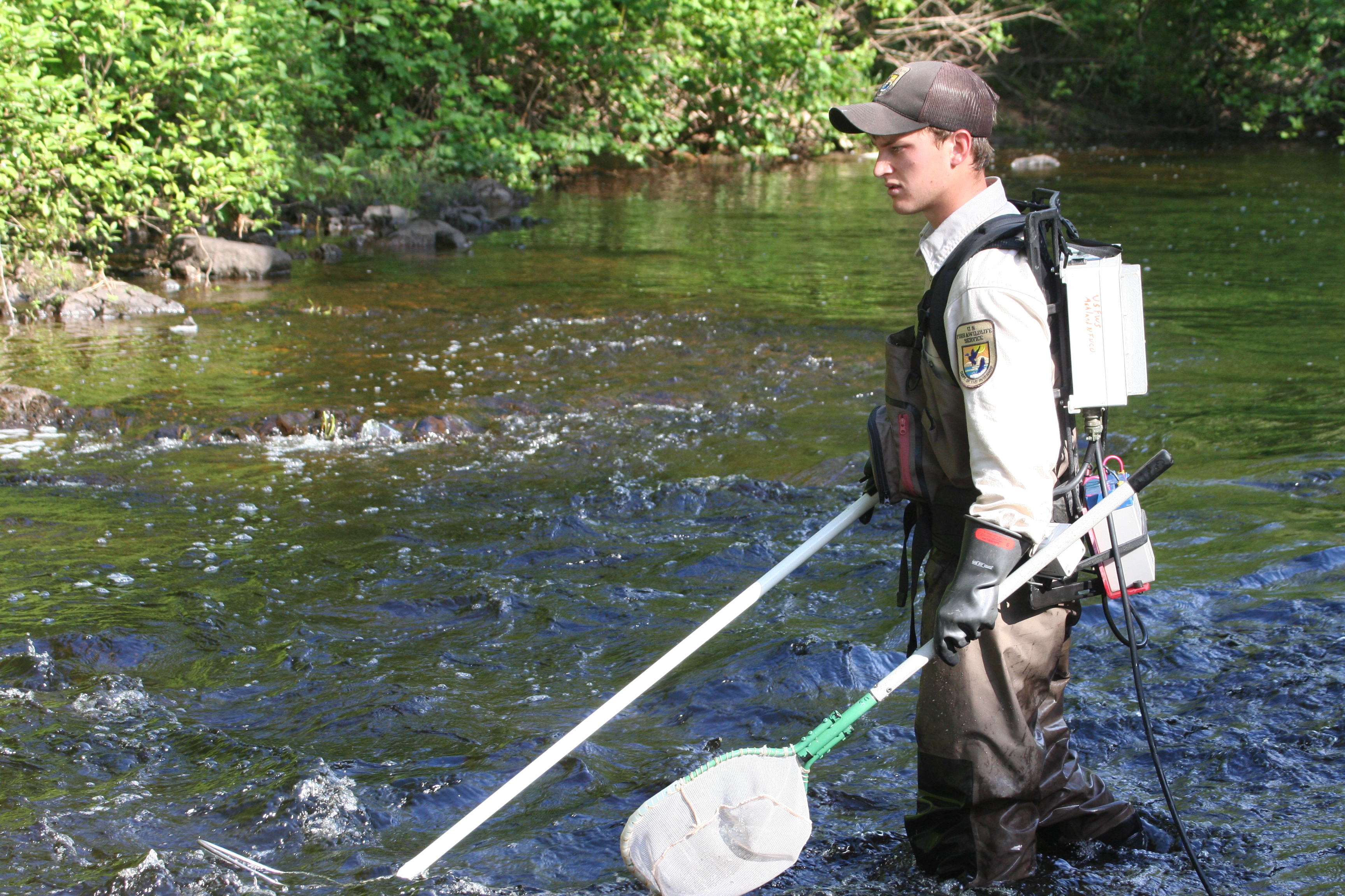 Photo by USFWS Midwest Region via flickr.com