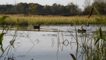 Photo by James Proffitt