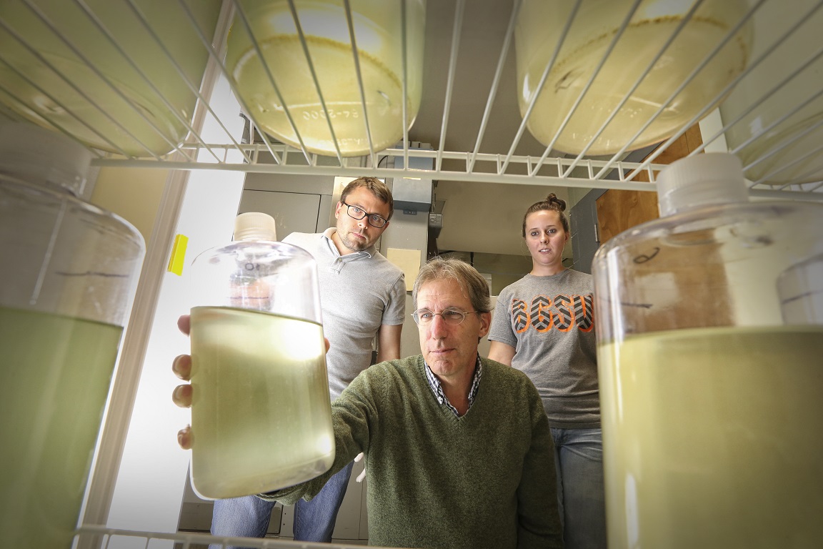 Photo by BGSU via Sarah Bednarski