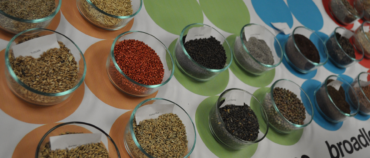 Photo by usda.gov via flickr.com cc 2.0