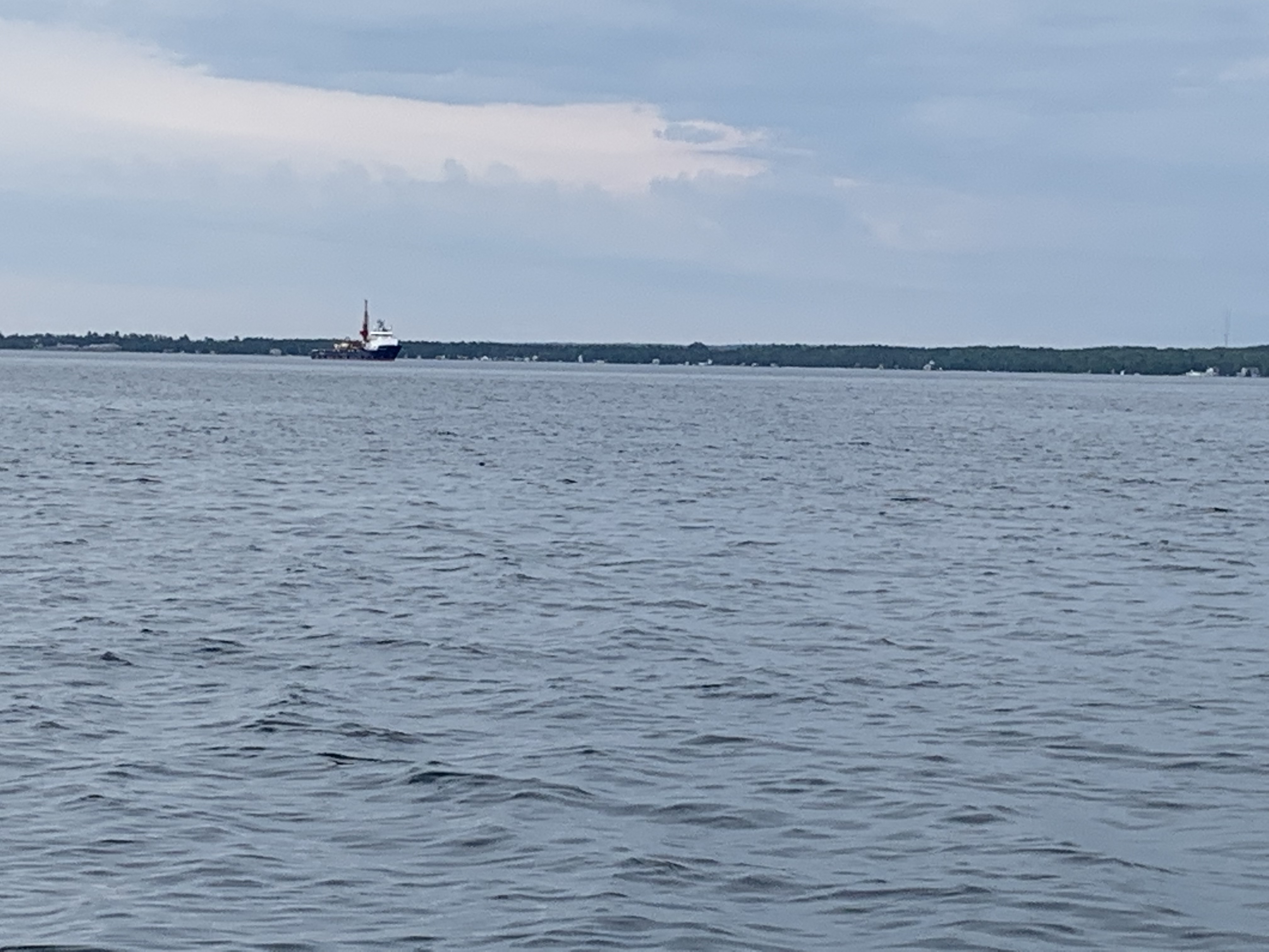 Photo by Sandra Svoboda 