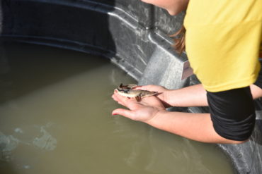 Photo by James Proffitt