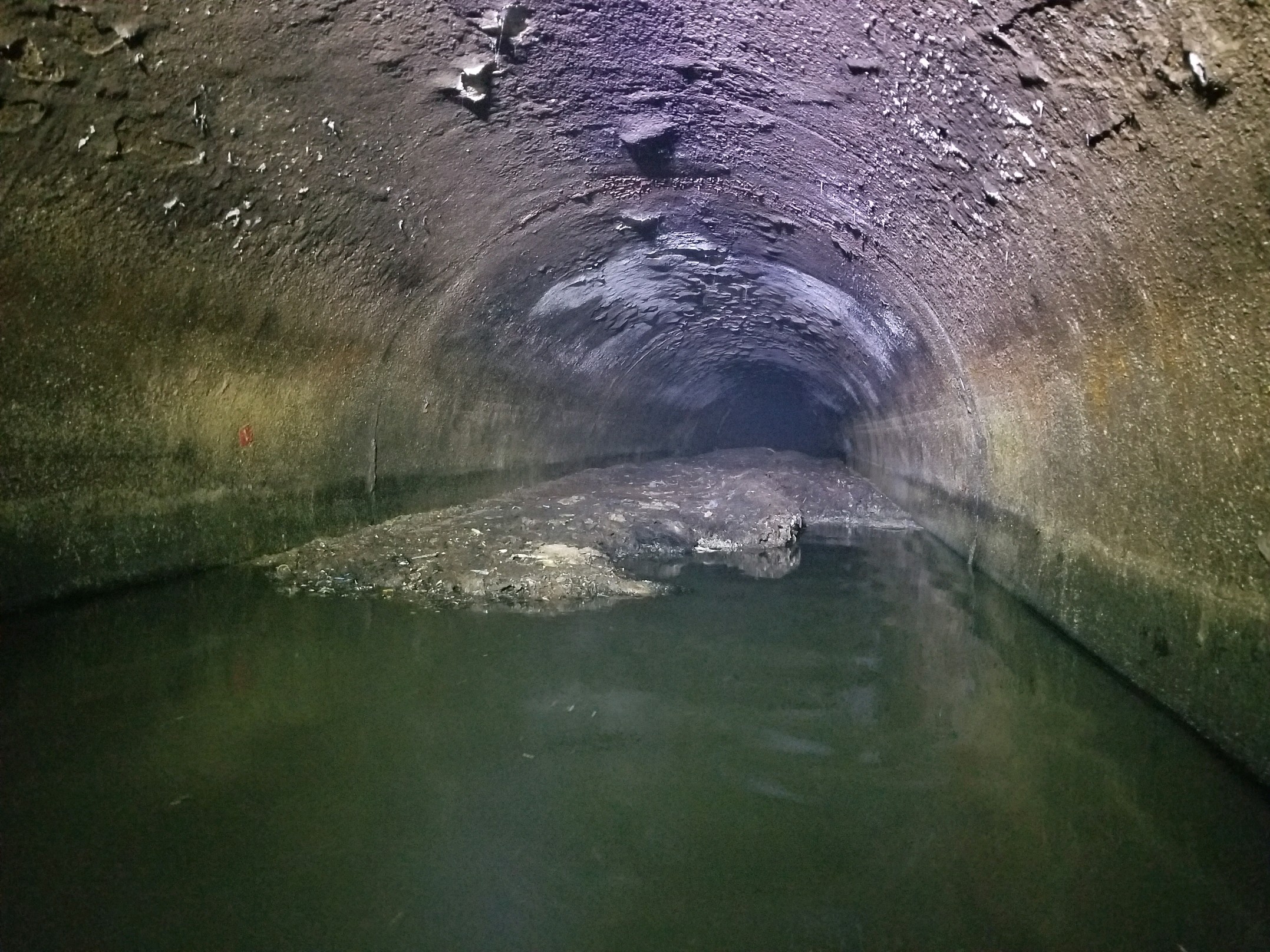 Fatberg Quiz Which fatberg are you most like? Great Lakes Now
