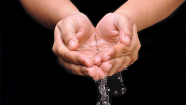 Photo by Biswarup Ganguly via Wikimedia cc 3.0