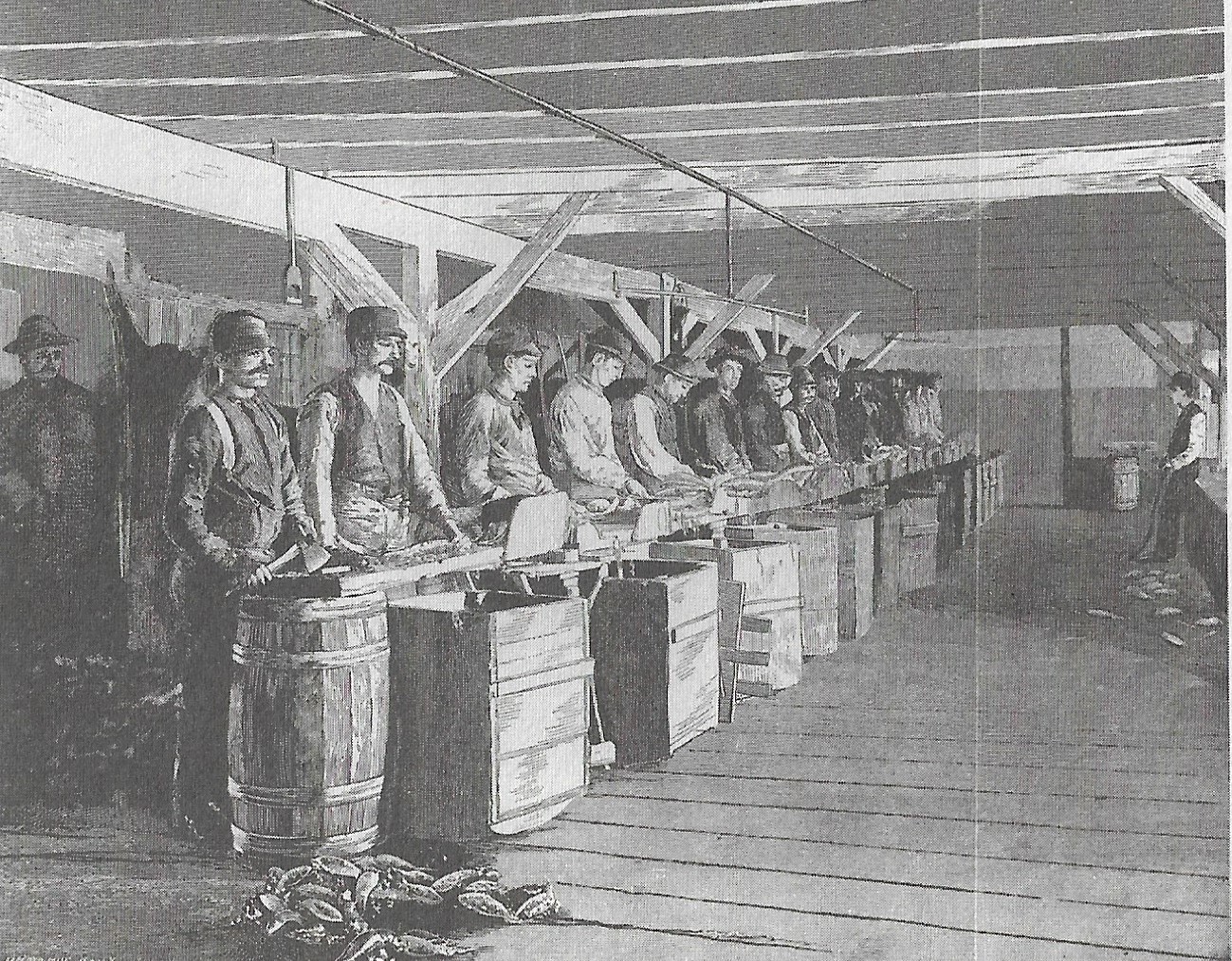 Photo by U.S. Commission of Fish and Fisheries