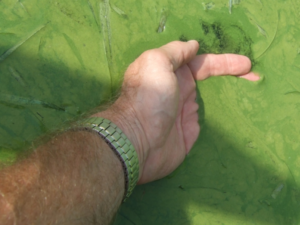 Photo by michigan.gov