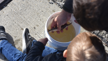 Photo by James Proffitt