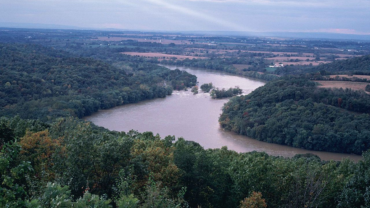 Photo by Stihler Craig, U.S. Fish and Wildlife Service via wikimedia.org