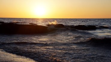 Photo by NibbleNutz via pixabay.com cc 2.0