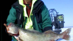 Warm weather has ice fishing industry on thin ice