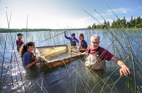 Photo courtesy of cmich.edu