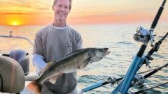 Walleye Windfall: 2021 sees another big hatch of fish in Lake Erie
