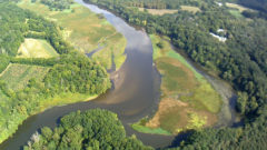 Michigan sues dam owner over sediment in Kalamazoo River