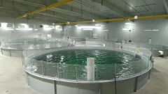 Massive salmon farm gets green light from Ohio DNR