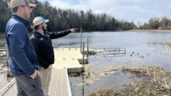 JEWEL OF THE GREAT LAKES: Group battles invasive species