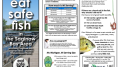 Only half of Great Lakes residents are aware of advisories for safely eating fish