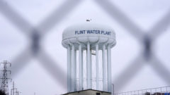Program to provide cash for pregnant women in Flint, Michigan, and families with newborns
