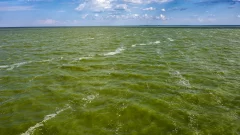 Report: MI and OH must spend hundreds of millions more annually to curb toxic blooms in Lake Erie