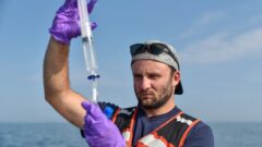 Scientists are learning just how complicated it will be to reduce toxic blooms in Lake Erie