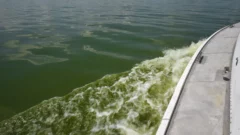Can Michigan reduce phosphorus pollution getting into Lake Erie by 40 percent?