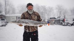 Michigan’s lost winter cancels sturgeon season, ski, dog sled races