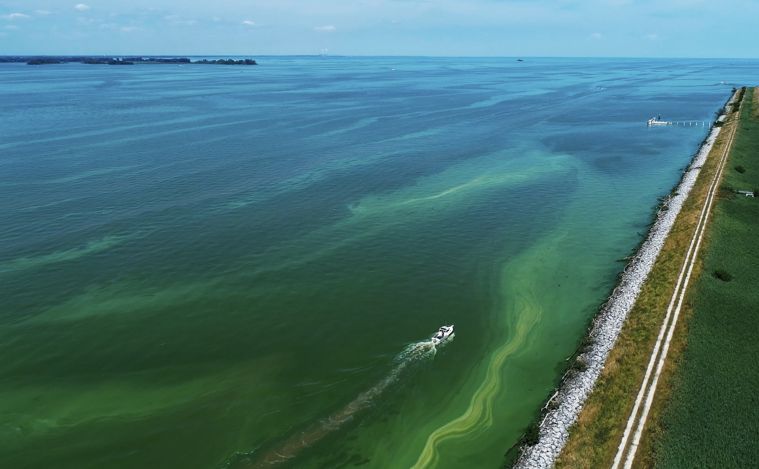 Advocacy group challenges “new normal” status of Lake Erie’s algal blooms