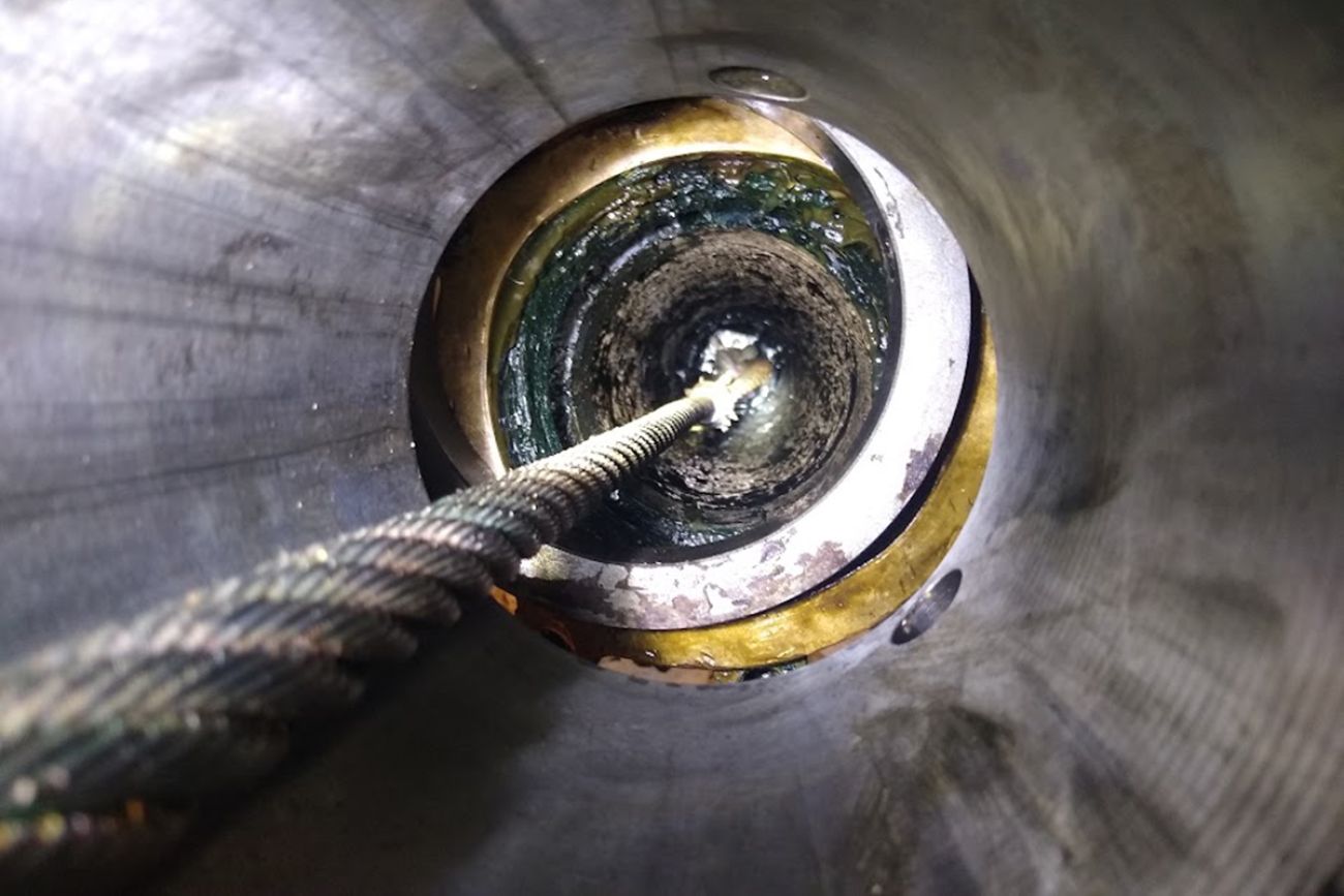 Great Lakes scientists discover new lifeform microbe, name it ShipGoo1