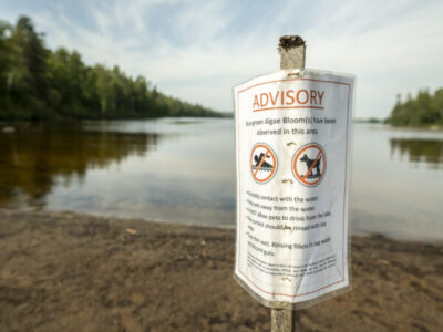 Blue-green algae is making a home in the warming waters of Lake Superior’s watershed