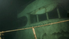 Fifty years later: The little-known story of the families the Fitz left behind