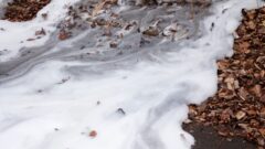 $18M approved in bill credits for Pennsylvania customers in ‘forever chemicals’ settlement