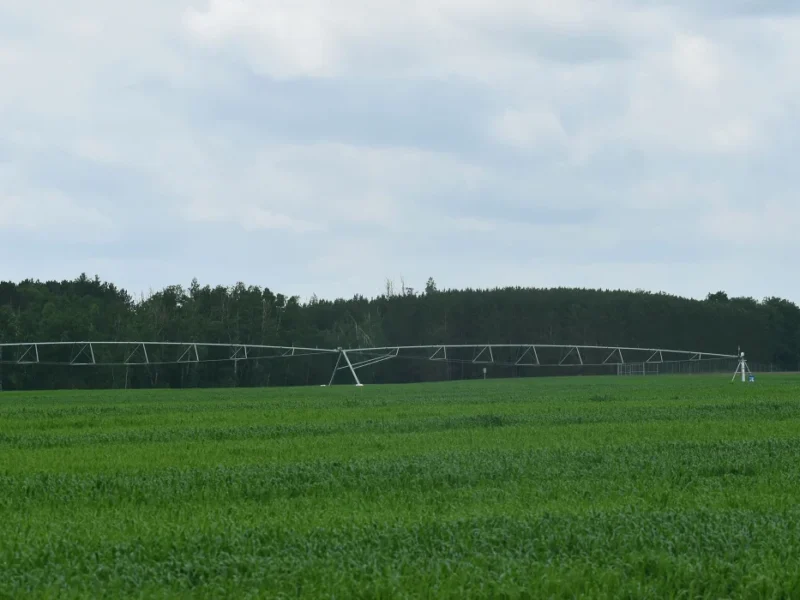 Sludge is used as fertilizer across Wisconsin. How much is tainted by PFAS?