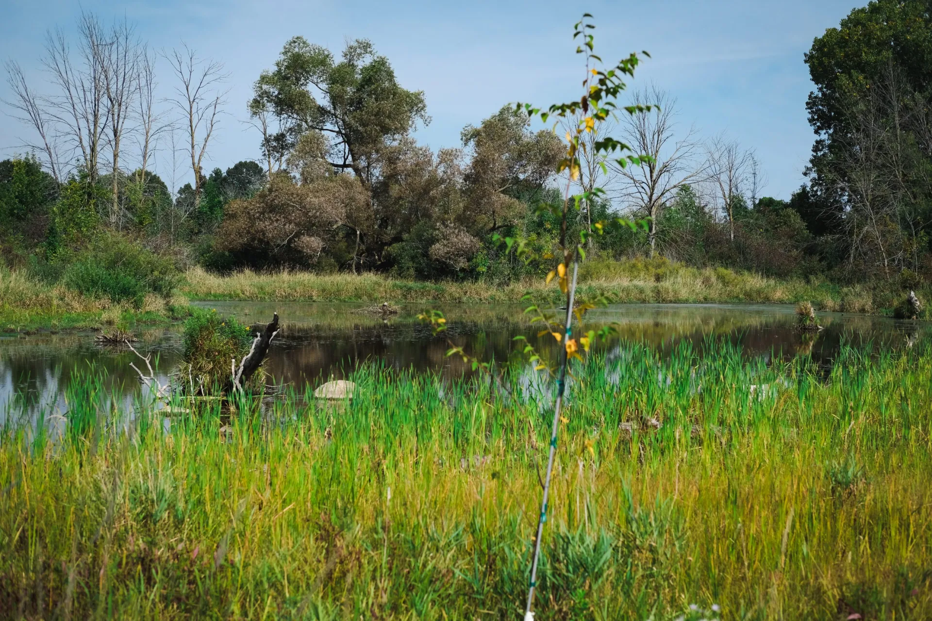 The Next Deluge May Go Differently