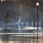 The river flooded the sidewalk and trees on Island Park - Grand Ledge, Michigan, march 2026