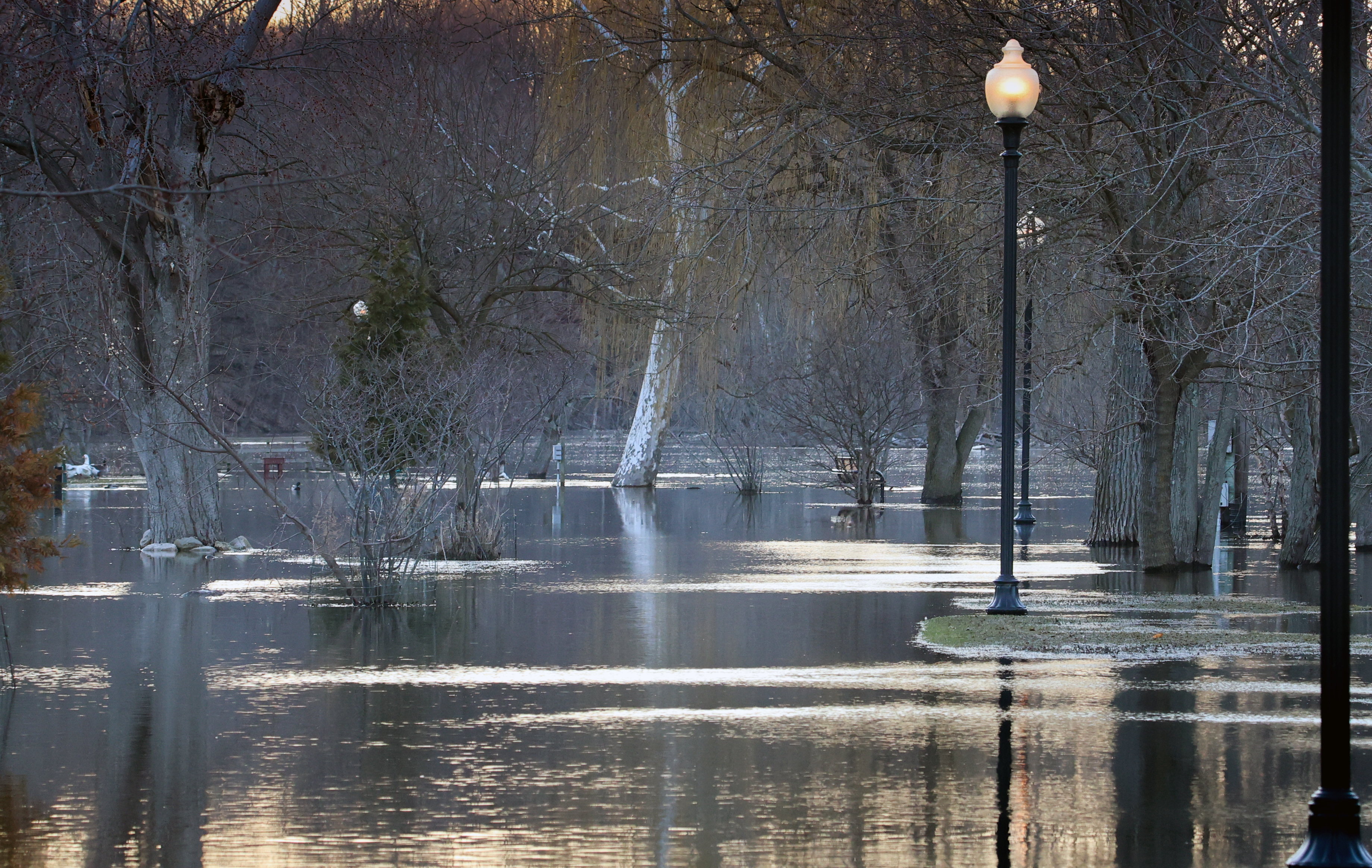 The river flooded the sidewalk and trees on Island Park - Grand Ledge, Michigan, march 2026