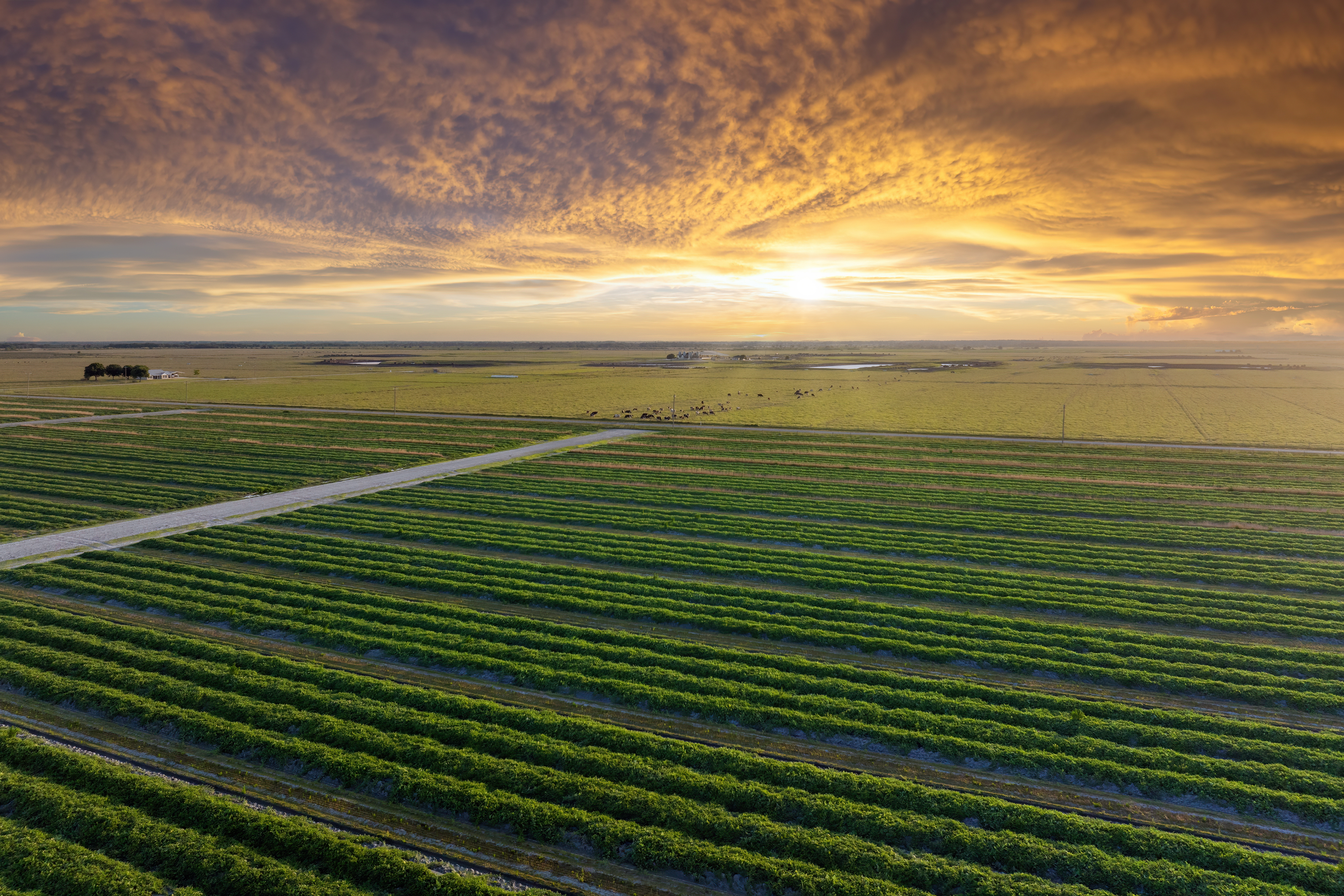 ‘The outlook is pretty bleak’: Farmers brace for a difficult season