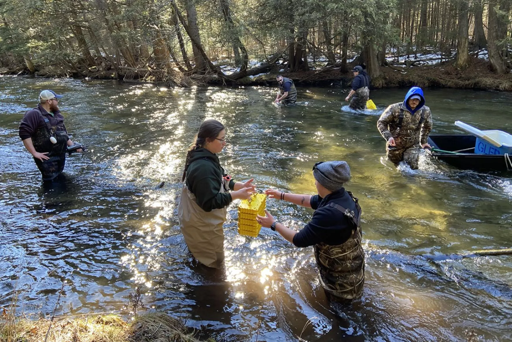 Michigan fisheries get one-time funding for whitefish restoration