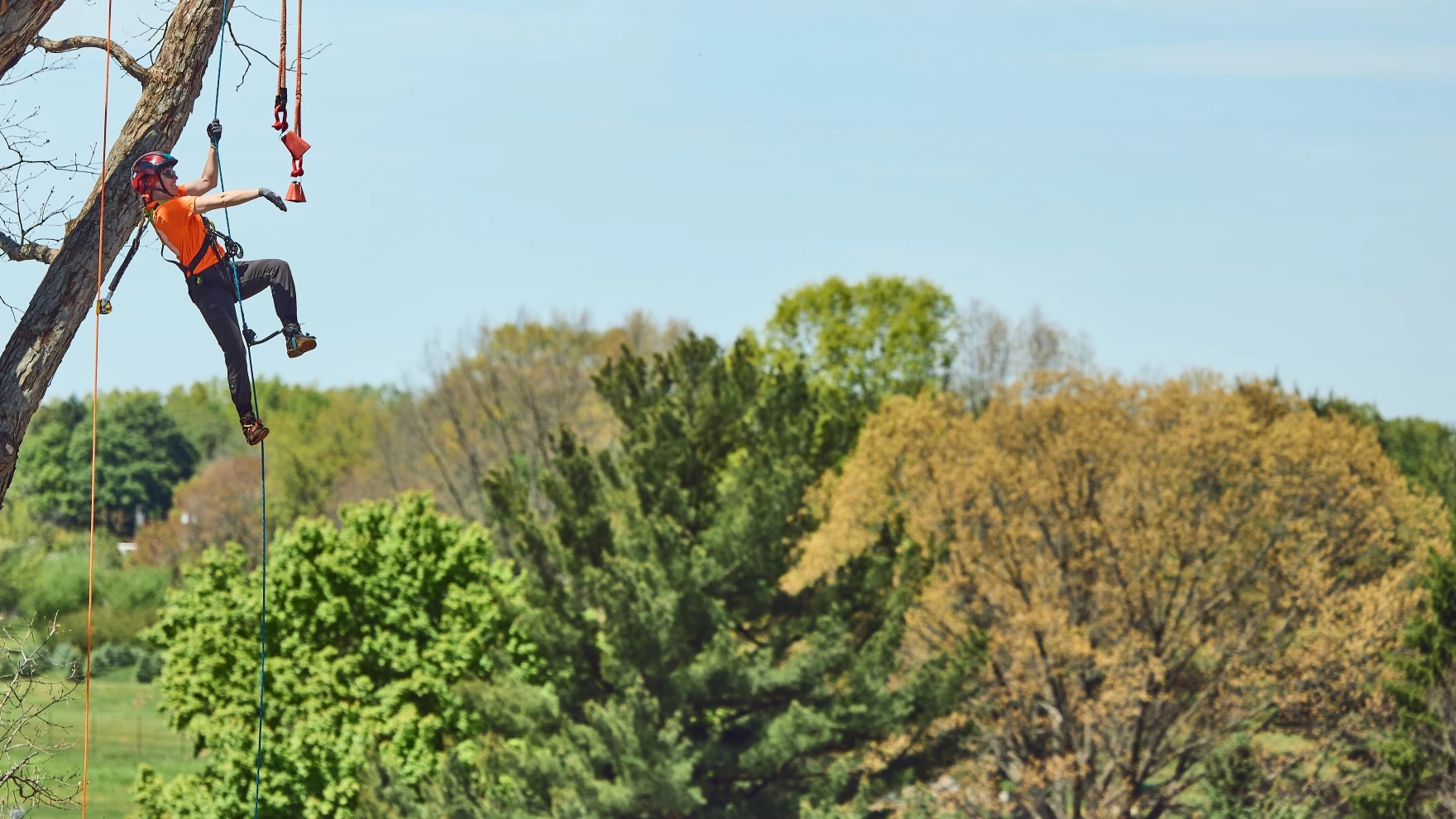 Women find community at tree climbing competition in Ohio