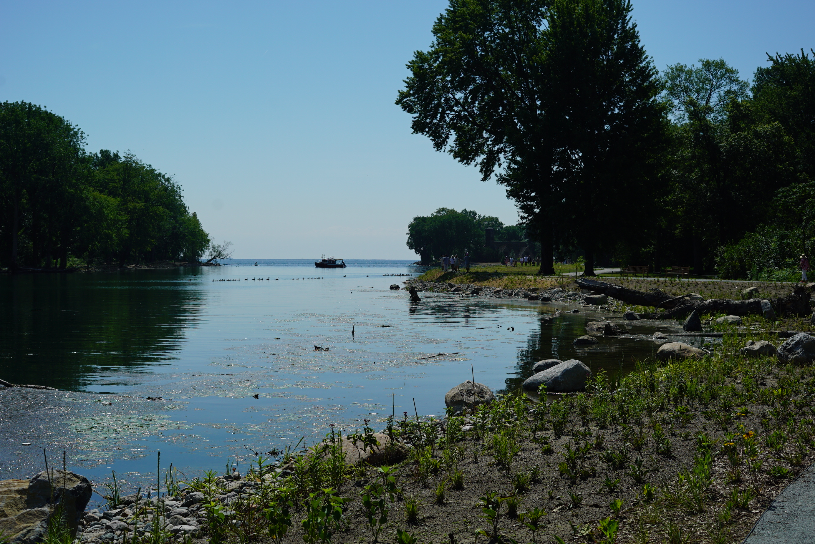 Ford House shoreline restoration revives designer Jens Jensen’s vision